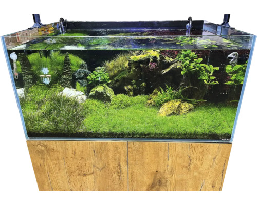 Akvárium se skříňkou, osázené vodními rostlinami a zdobené kameny.