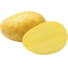Dva brambory