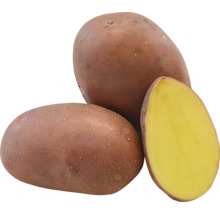 Tři červené brambory, jedna rozpůlená