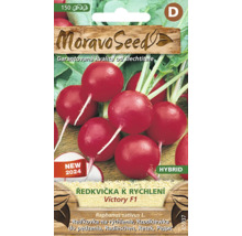 Balení semen ředkviček značky Moravo Seed