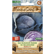 Balení semen červeného zelí