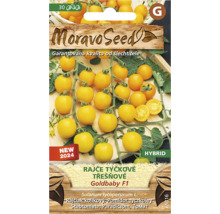Balení semen žlutých cherry rajčat
