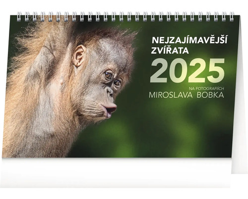 Stolní kalendář Nejzajímavější zvířata 2025