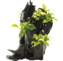 Dekorace do akvária pařez stromu se zelenými rostlinami