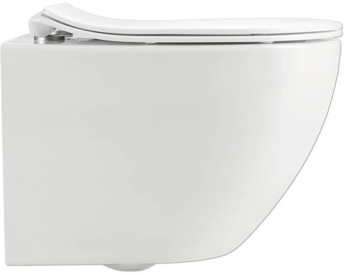 Závěsný klozet s hlubokým splachováním a WC sedátkem