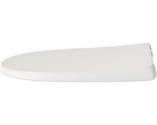 Záchodové prkénko ze sanitární keramiky