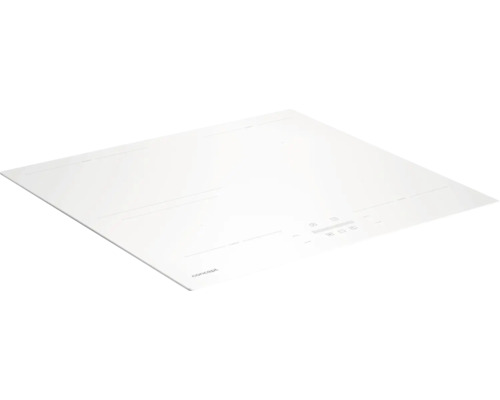 Indukční varná deska