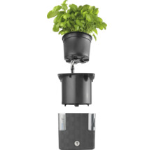 Samozavlažovací systém pro rostliny s ukazatelem hladiny vody