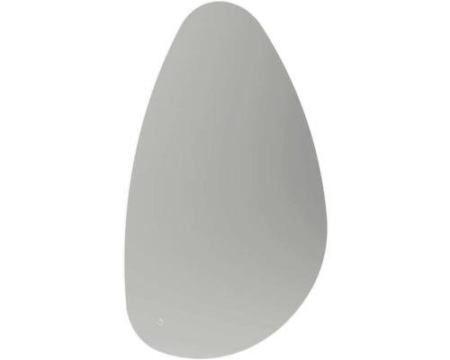 Zrcadlo s osvětlením form&style NAVASSA s ochranou proti zamlžení 120 x 80 cm IP 44 Oválné zrcadlo do koupelny