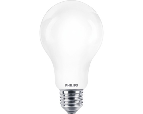 LED žárovka Philips E27 13W/120W 2000lm 2700K
