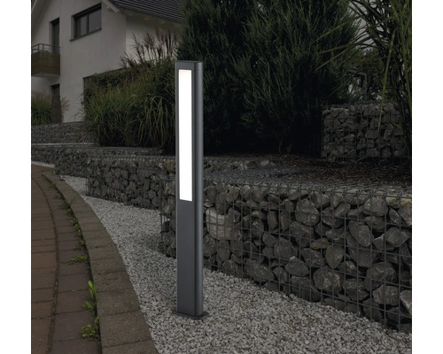 LED venkovní sloupkové osvětlení RHINE IP54 2x5,5 W 2x600 lm 3000 K antracit Venkovní svítidlo pro osvětlení cesty v zahradě