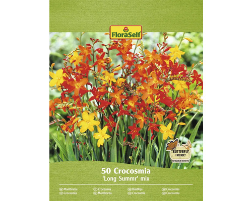 Montbrécie FloraSelf Crocosmia 'Long Summer' mix 50 ks