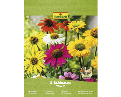 Třapatka FloraSelf Echinacea barevný mix 5 ks