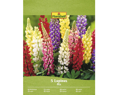 Lupina FloraSelf Lupinus mix 5 ks