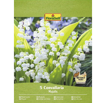 Balení konvalinek FloraSelf s pěti rostlinami Convallaria Majalis