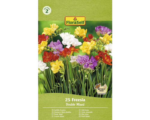 Frézie plnokvěté FloraSelf mix 25 ks