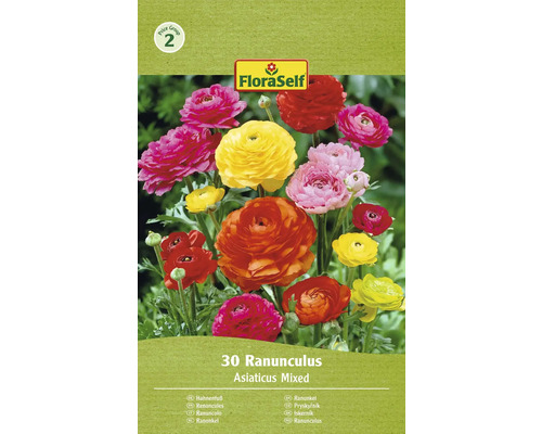 Pryskyřník FloraSelf Ranunculus asijský mix 30 ks