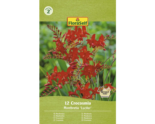 Montbrécie FloraSelf Crocosmia 'Lucifer' červená 12 ks