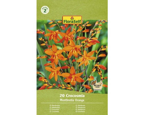 Montbrécie FloraSelf Crocosmia oranžová 20 ks