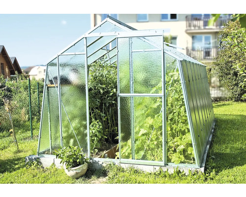 Skleník s rostlinami na zahradě