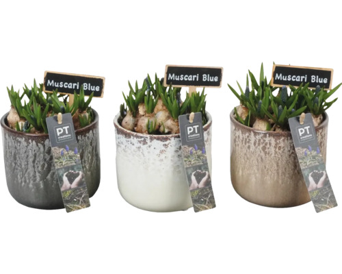 Jarní aranžmá FloraSelf hliněná miska Ø 19 cm antracitová
