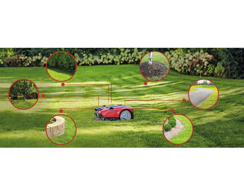 Scéna s robotickou sekačkou na trávníku, která objíždí různé zahradní prvky, jako jsou keře, stromy a cesta.