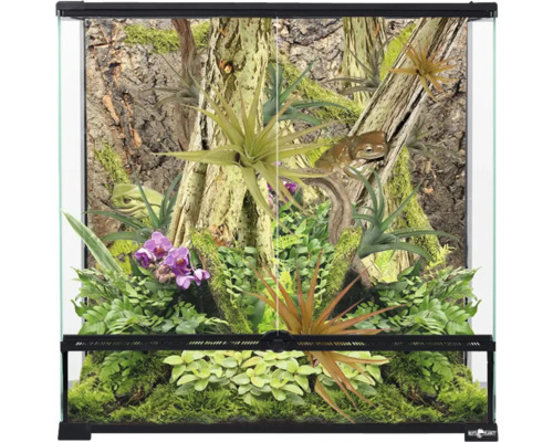 Terárium s rostlinami a žábami