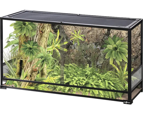 Terárium s rostlinami pro plazy
