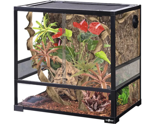 Terárium s rostlinami a dekorací pro plazy