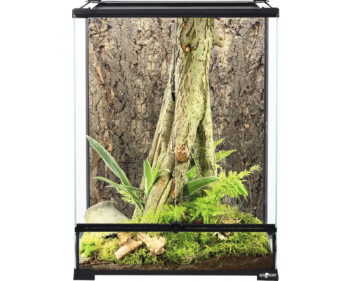Terárium se stromem, rostlinami a korkovou zadní stěnou pro plazy