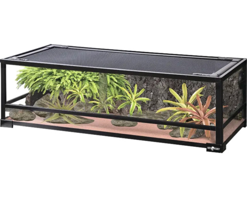 Terárium s rostlinami a podkladem