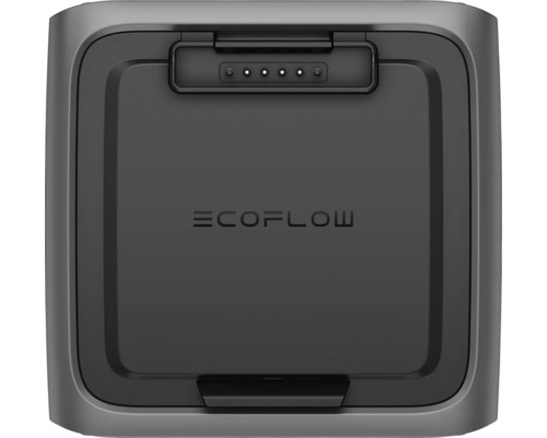 Logo EcoFlow na přenosné elektrárně