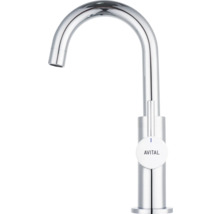 Kuchyňská baterie Avital z kovu