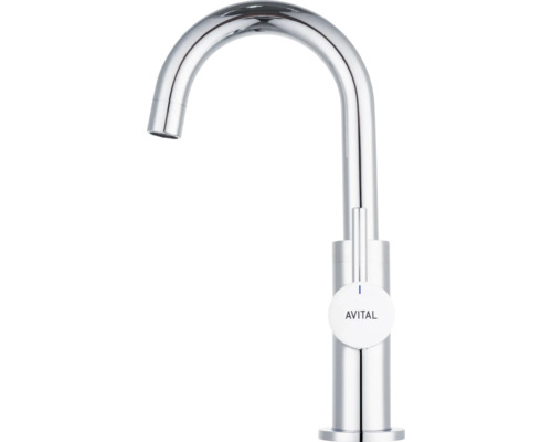 Kuchyňská baterie Avital z kovu