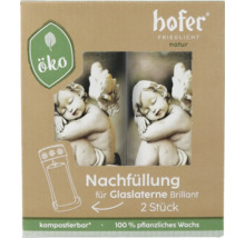 Hofer Friedlicht Natur náhradní náplň do skleněné lucerny Brillant, 2 kusy, z rostlinného vosku