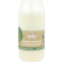 Sedmidenní olejová lampa z rostlinného vosku