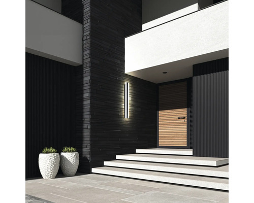 Moderní fasáda domu s vchodovými dveřmi, schodištěm, venkovním světlem a květináči