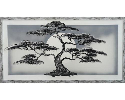 Obraz plastika bonsai černobílá