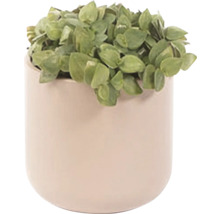 Obal na květináč keramický Alma Ø 7 x 6,5 cm taupe