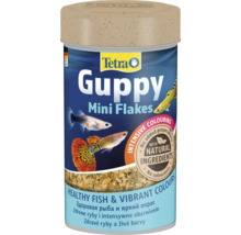 Krmivo pro ryby, vločkové Tetra Guppy 100 ml