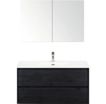 Skříňka pod umyvadlo se dvěma zásuvkami, umyvadlem a zrcadlovou skříňkou