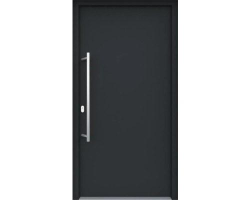 Vchodové dveře ARON 3101-1 100L antracit