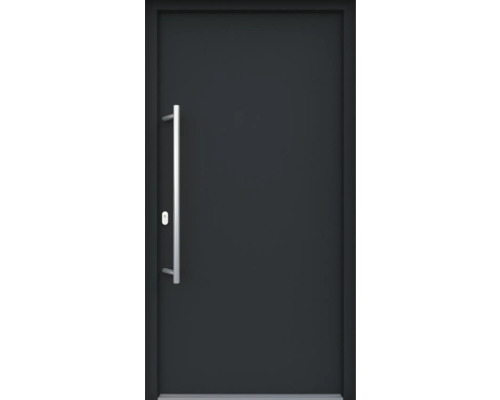 Vchodové dveře ARON 3101-2 100L antracit