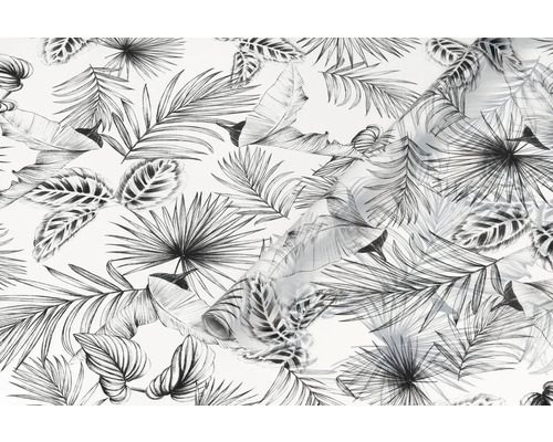 Tapeta s motivem tropických listů