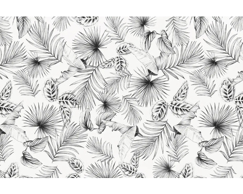 Statická fólie D-C-Fix Botanicals průhledná, černá 45x150cm Vzor s tropickými listy