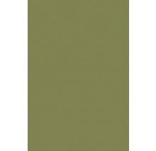 Jednobarevné pozadí