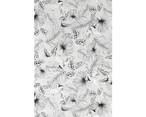 Samolepicí fólie D-C-Fix Botanicals průhledná, černá 45x200cm Tapeta s tropickým motivem listů
