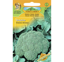 Balení semen brokolice značky Nohelgarden