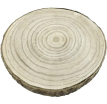 Dřevěný kotouč s letokruhy