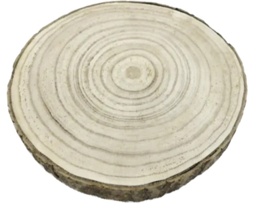 Dřevěný kotouč s letokruhy